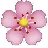 深化行業(yè)認(rèn)知，共謀發(fā)展新篇——中煤蒙大公司特邀孫惠民授課經(jīng)濟(jì)信息咨詢